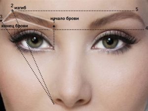 форма бровей
