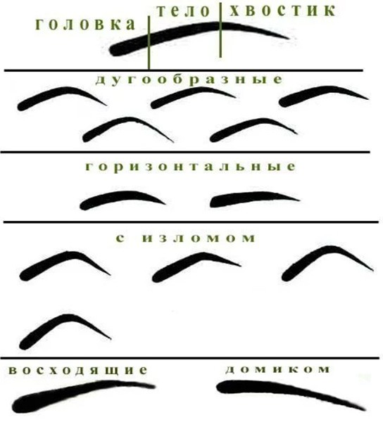 Форма лица определяющая форму бровей