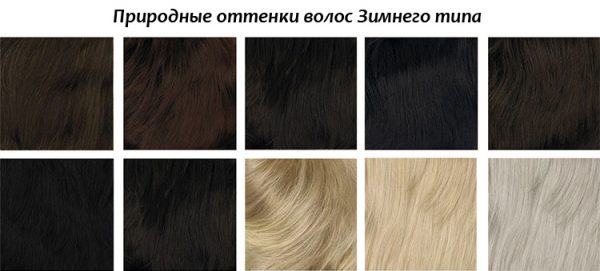 Цветотип зима палитра