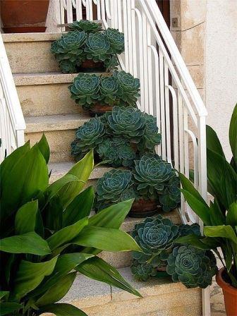 Идеи использования цветов для декора дома и садового участка