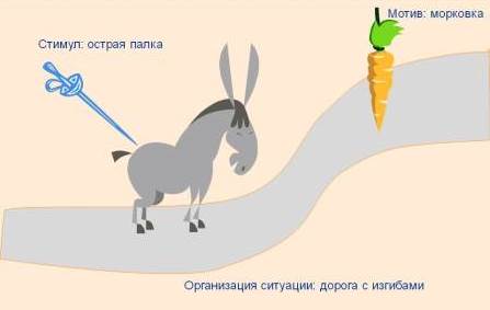 подгоняет осла