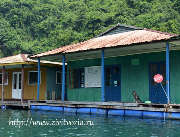 Путешествие по северной части Вьетнама: Ханой, местная кухня, бухта Халонг