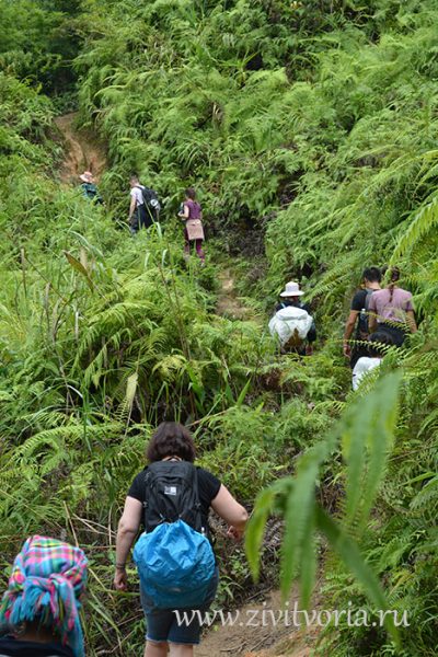Как организовать свой отдых во Вьетнаме. Заметки путешественника
