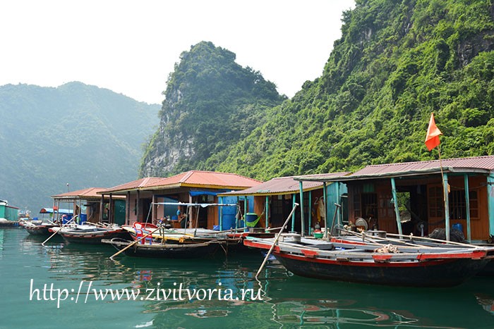 Путешествие по северной части Вьетнама: Ханой, местная кухня, бухта Халонг