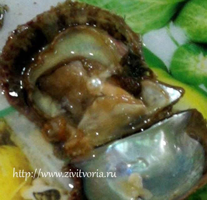 Путешествие по северной части Вьетнама: Ханой, местная кухня, бухта Халонг