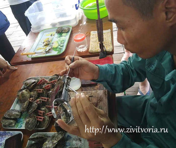 Путешествие по северной части Вьетнама: Ханой, местная кухня, бухта Халонг