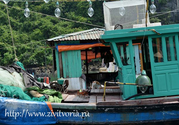 Путешествие по северной части Вьетнама: Ханой, местная кухня, бухта Халонг