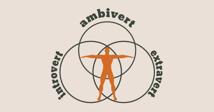 "Кем вы являетесь: интровертом, экстравертом или амбивертом?"